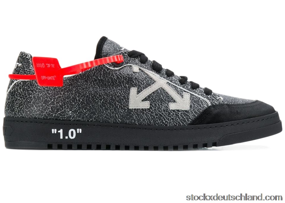 OFF-WHITE 2.0 Low Top Light Grey OMIA042F19D680370706 DE