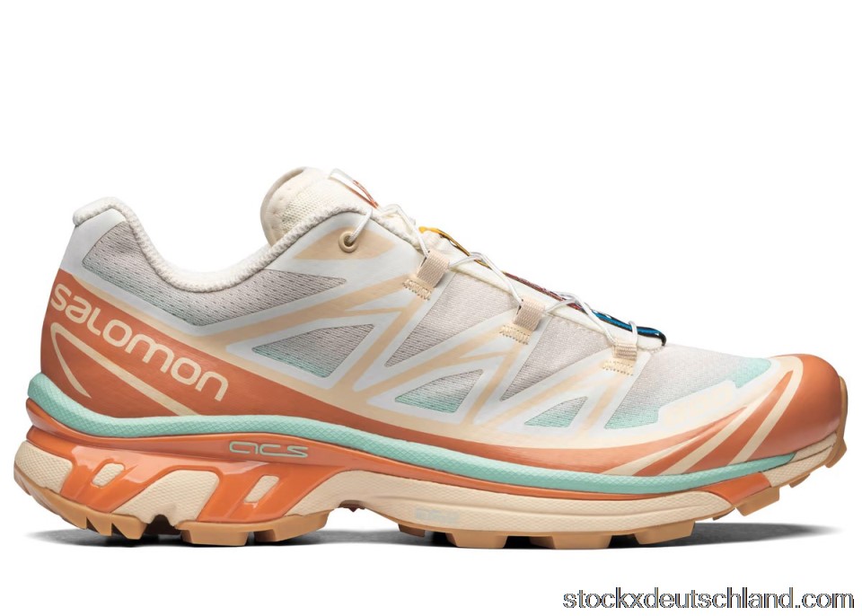 Salomon XT-6 Skyline Sun Baked L41629800 DE
